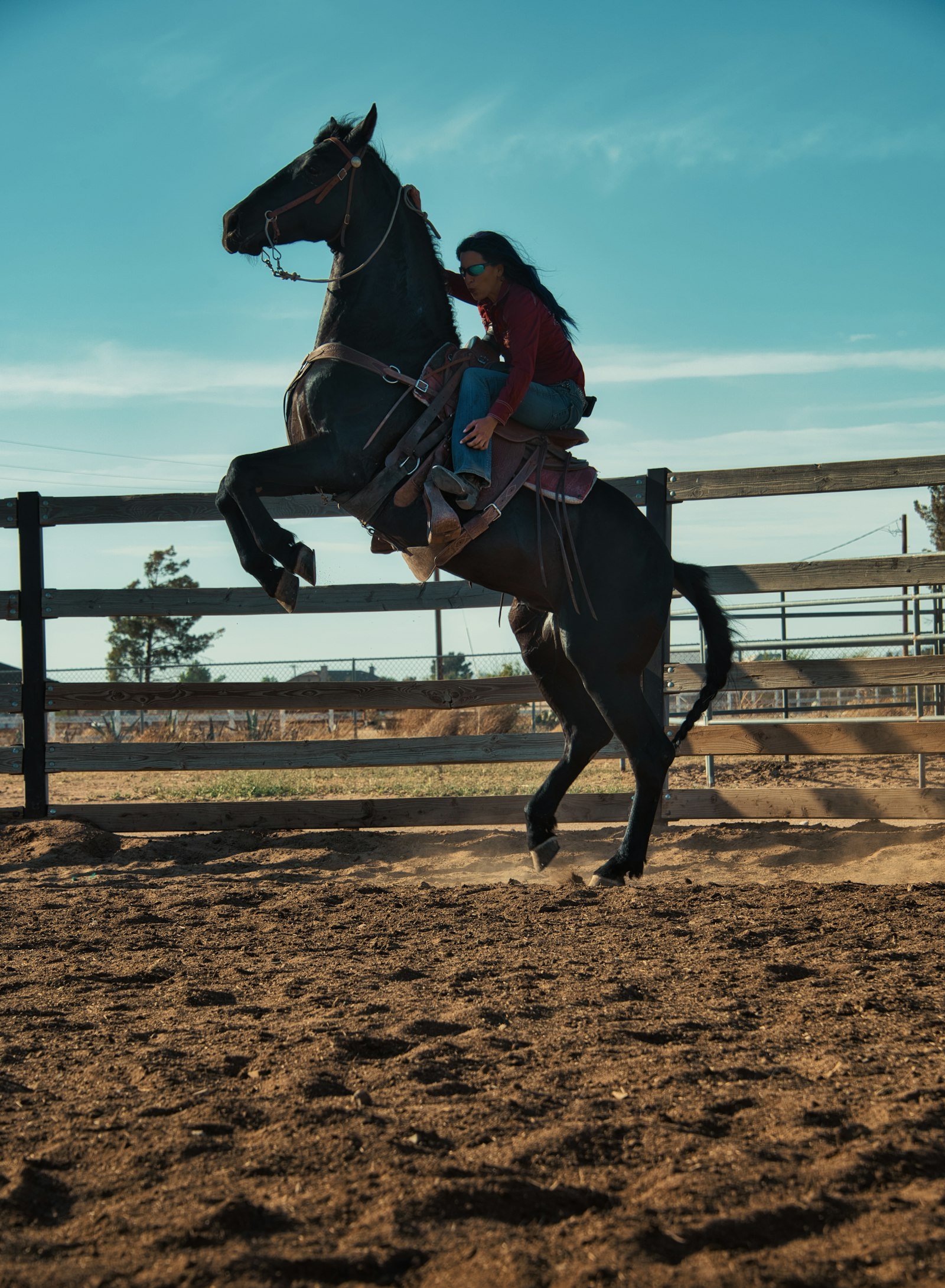 Cavaleiro em atividade equestre, representando os revendedores Companhia do Cavalo
